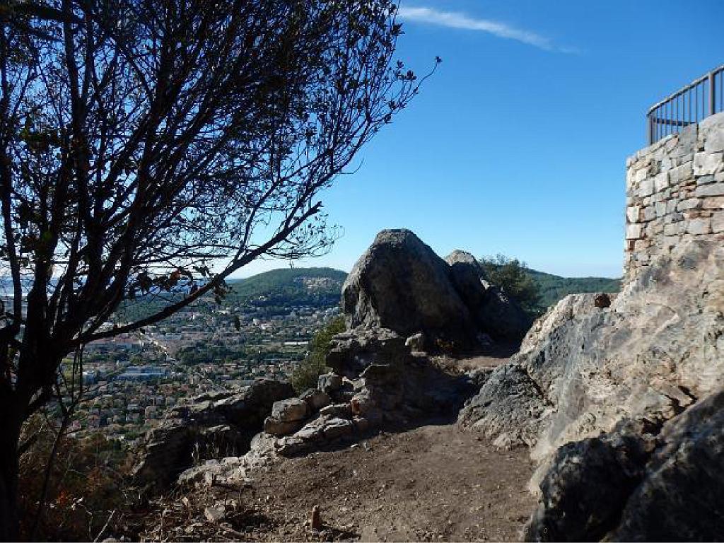 183 HYERES ET SES PALMIERS D03_000047.jpg